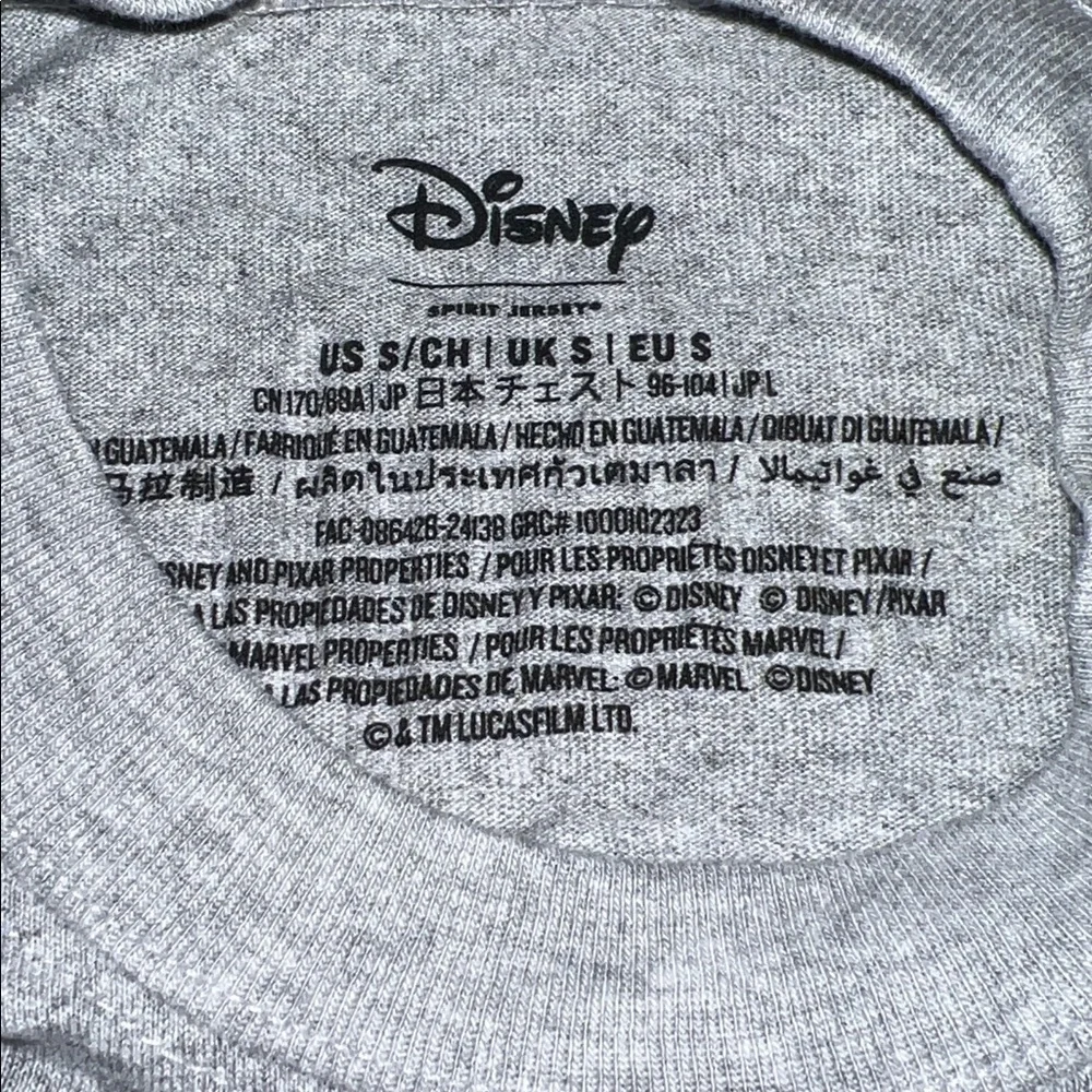 Disney runDisney Disneyland Half Marathon Weekend 2025 Spirit Jersey Small